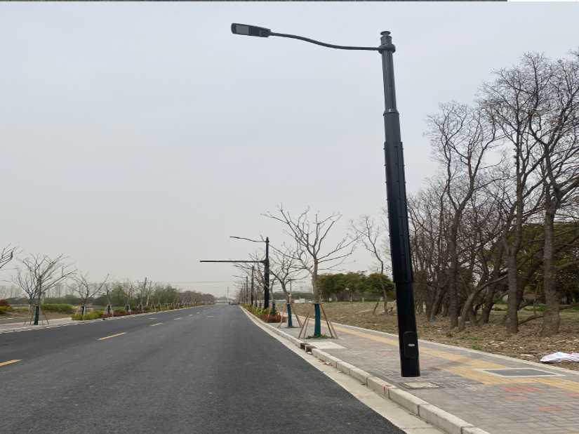 冕宁县上海综合杆 太阳能路灯工程